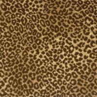 Lake Jaguar Sand Brown