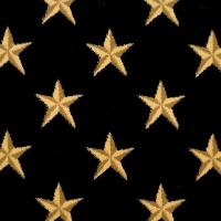 Lake Ontario Charcoal