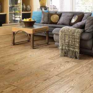 Discount Hardwood Flooring at Carpet Bargains