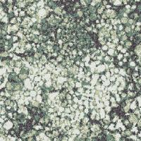 Moss W0065 305 Foilage
