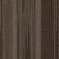 Lateral Surface
869