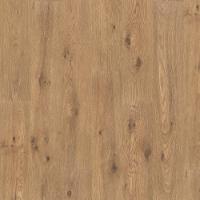 Thorny Hedge Oak 258